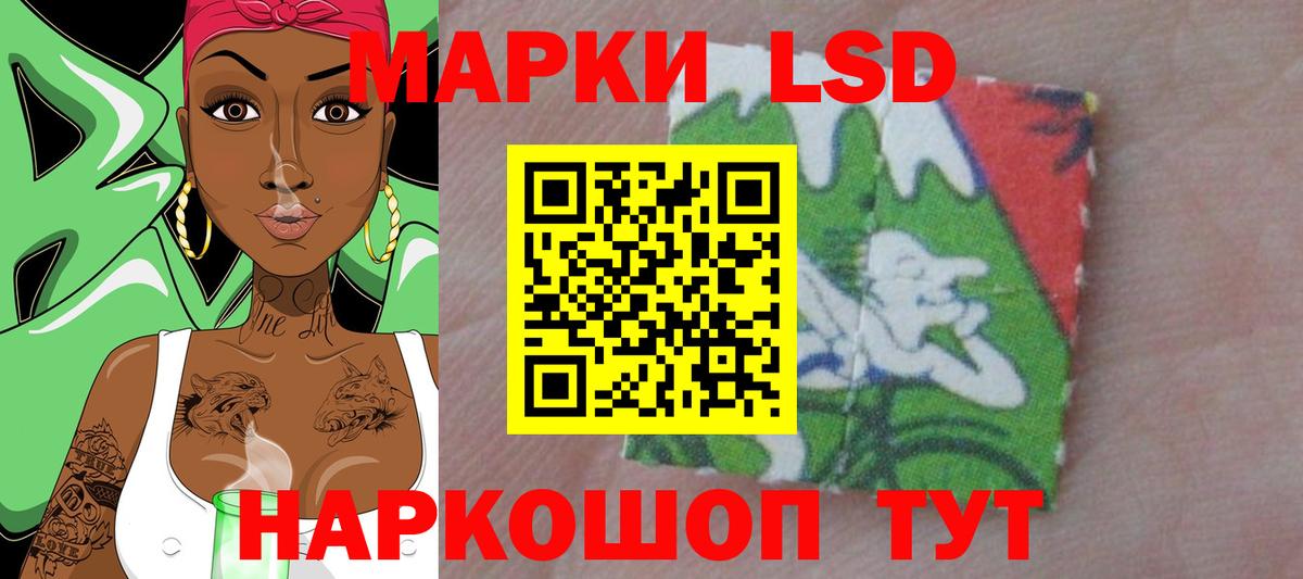 Кингисепп  ЛСД экстази кислота  Вход с VPN 